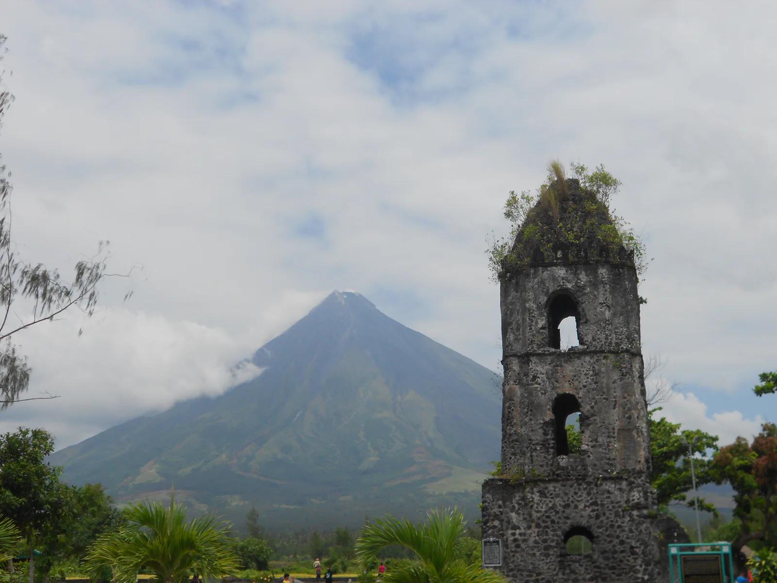 Cagsawa bell tower framed by trees with Mayon Volcano rising behind it